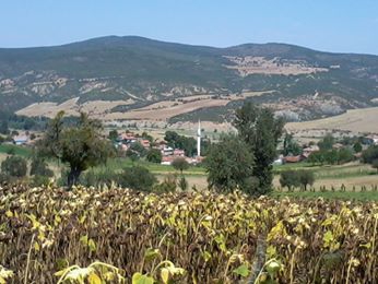 Vezirköprü Yürükçal Köyü 4