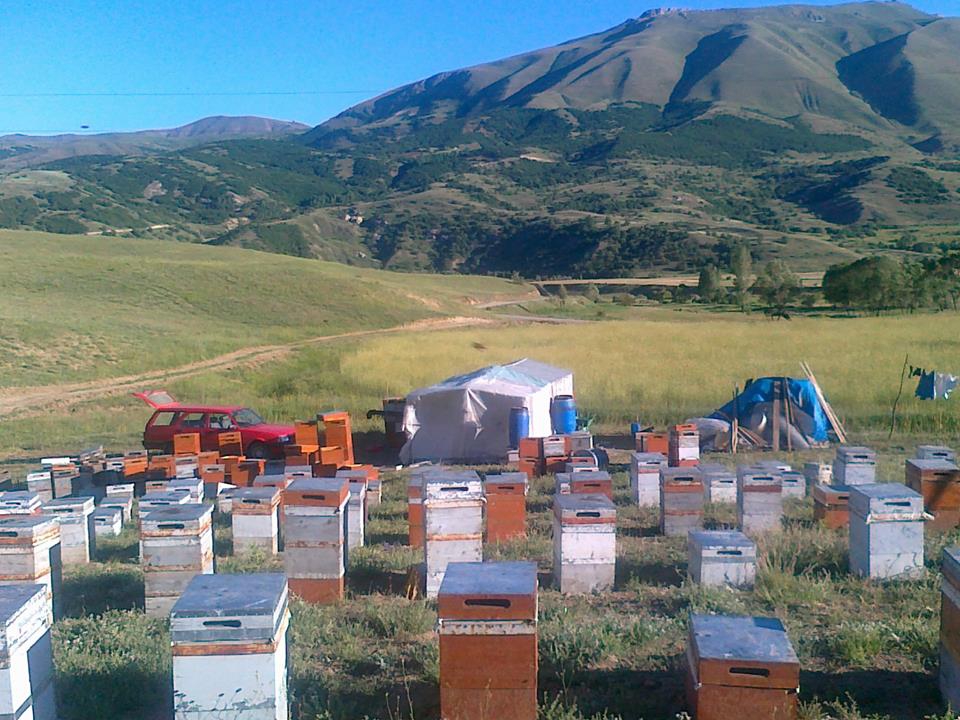 Aşkale Sazlı Köyü Resimleri 3