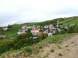 Mesudiye Celal Köyü Resimleri 1