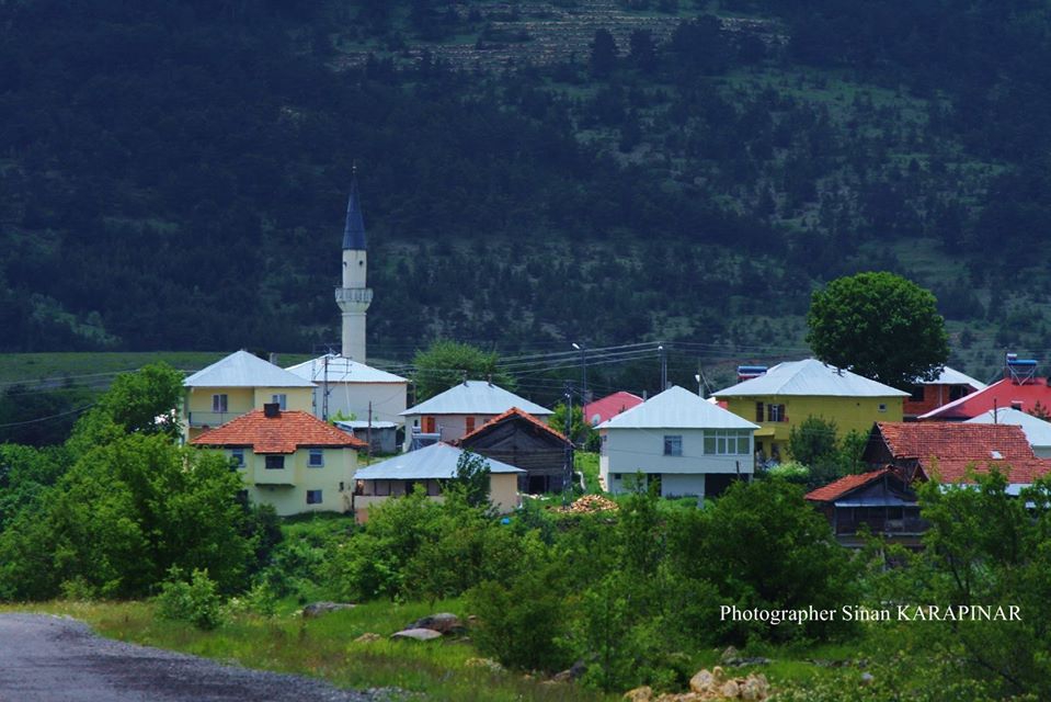 Mesudiye Çardaklı Köyü Resimleri 1