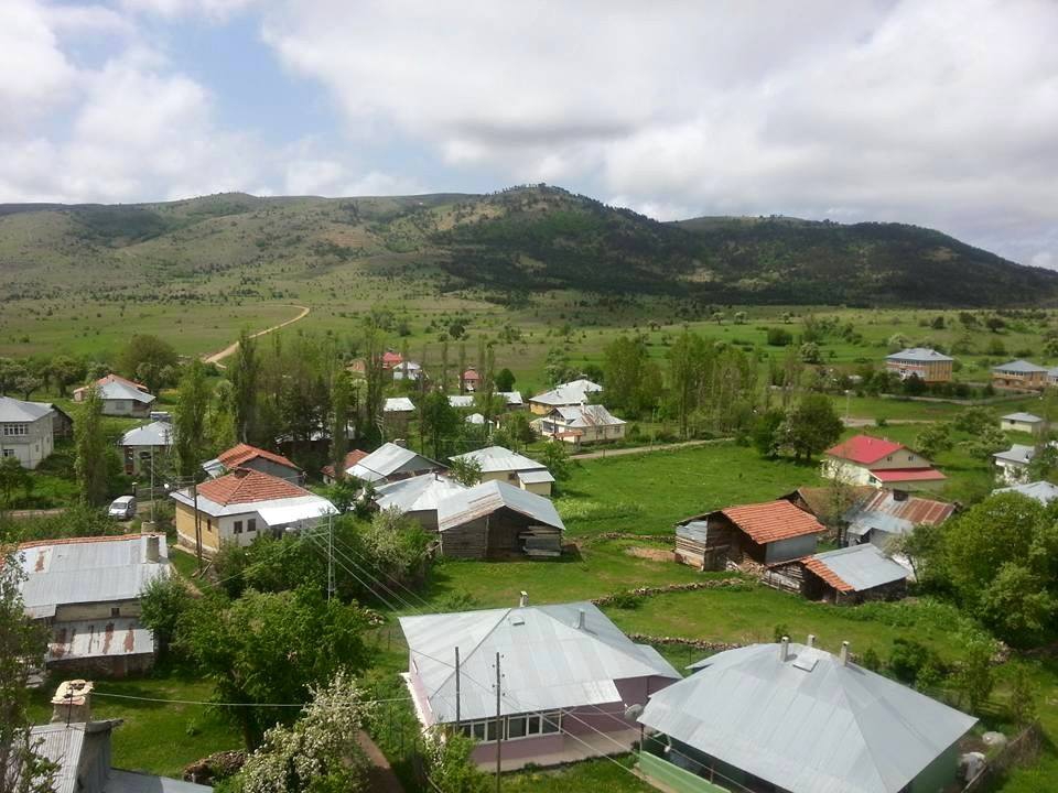 Mesudiye Çardaklı Köyü Resimleri 3