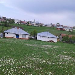 Mesudiye Çardaklı Köyü Resimleri 5