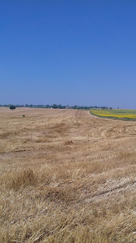 Adana İmamoğlu Camili Köyü Resimleri 12