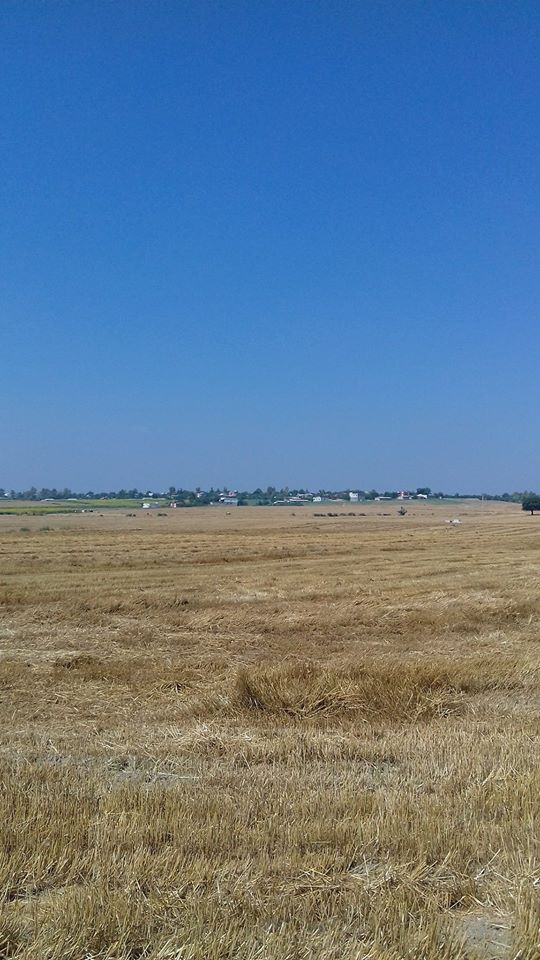 Adana İmamoğlu Camili Köyü Resimleri 16