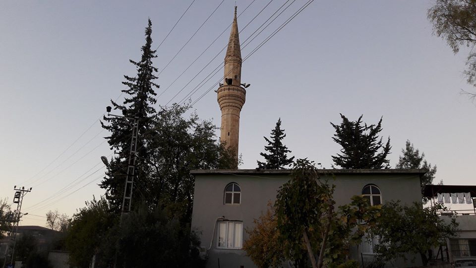 Adana İmamoğlu Camili Köyü Resimleri 17