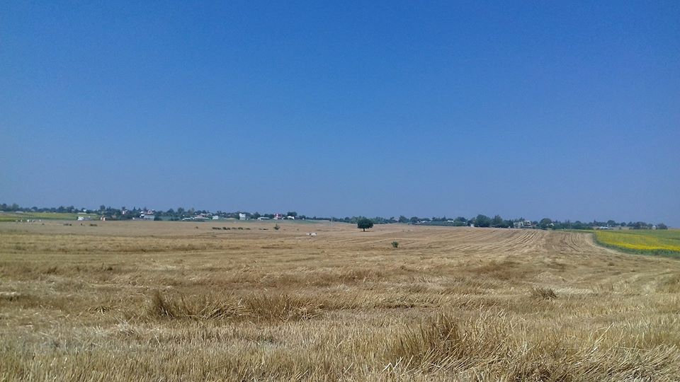 Adana İmamoğlu Camili Köyü Resimleri 18