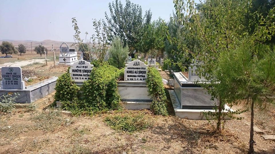 Adana İmamoğlu Camili Köyü Resimleri 24