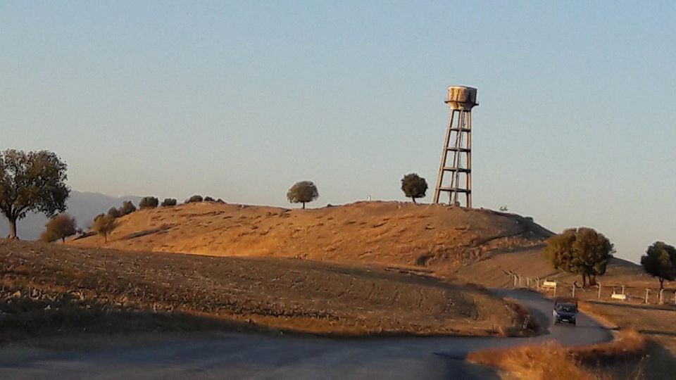 Adana İmamoğlu Camili Köyü Resimleri 6