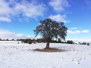 Mesudiye Çavdar Köyü Resimleri 5