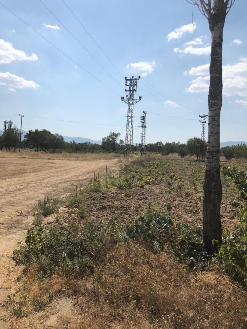 Isparta Aliköyü Köyü Resimleri 10