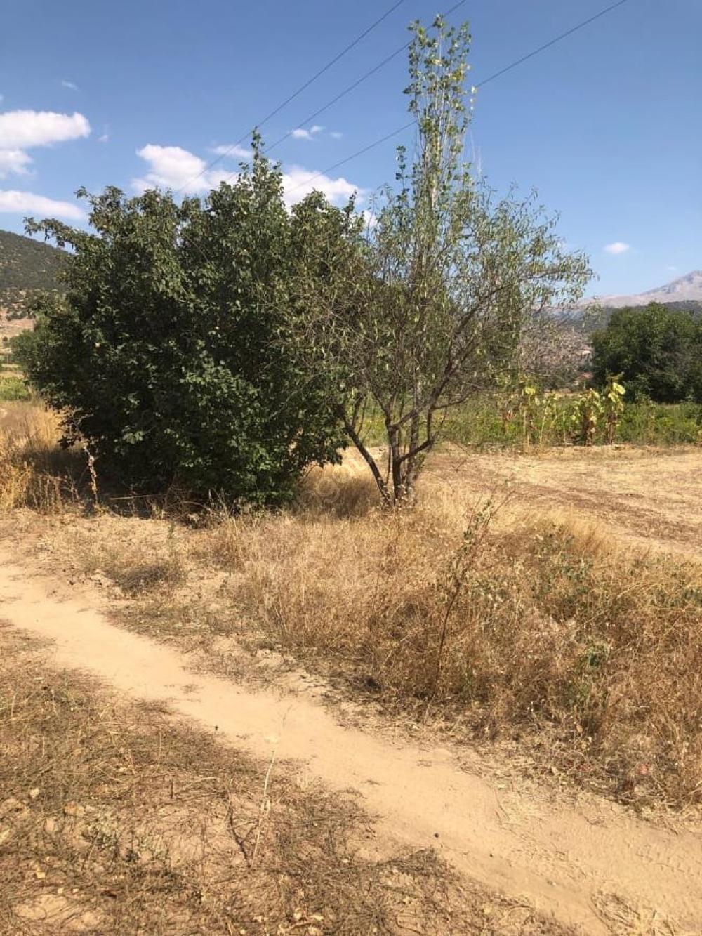 Isparta Aliköyü Köyü Resimleri 11