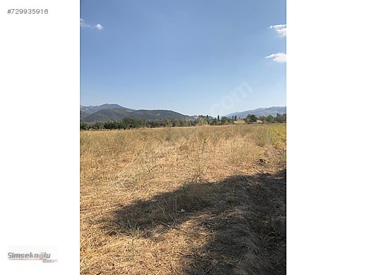 Isparta Aliköyü Köyü Resimleri 2