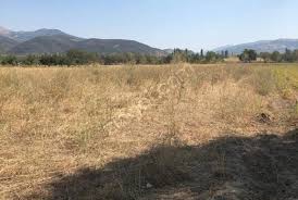Isparta Aliköyü Köyü Resimleri 3