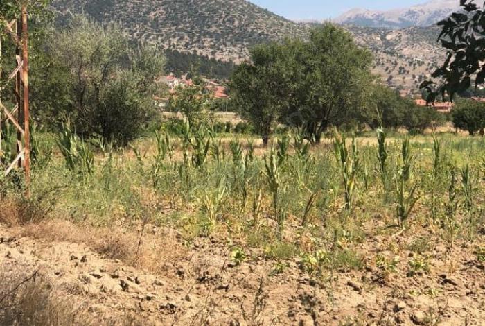 Isparta Aliköyü Köyü Resimleri 4