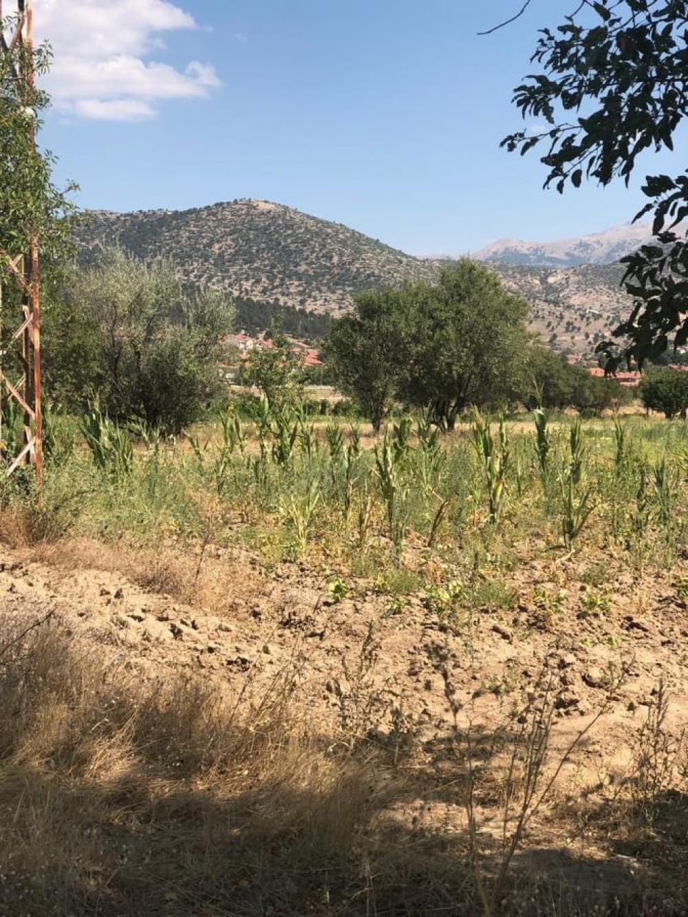 Isparta Aliköyü Köyü Resimleri 5
