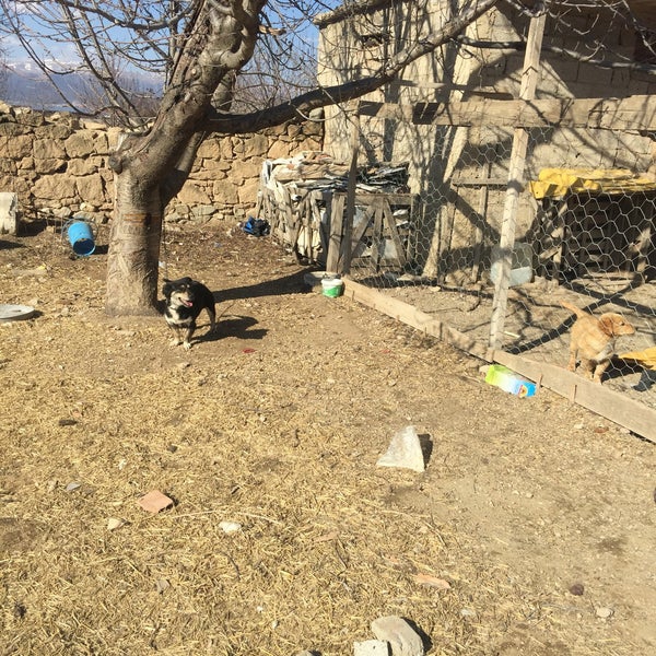 Isparta Bozanönü Köyü Resimleri 3