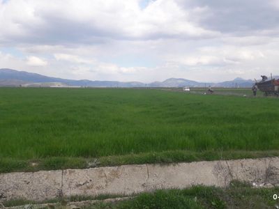 Isparta Bozanönü Köyü Resimleri 6