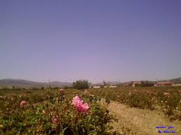 Isparta Deregümü Köyü Resimleri 5