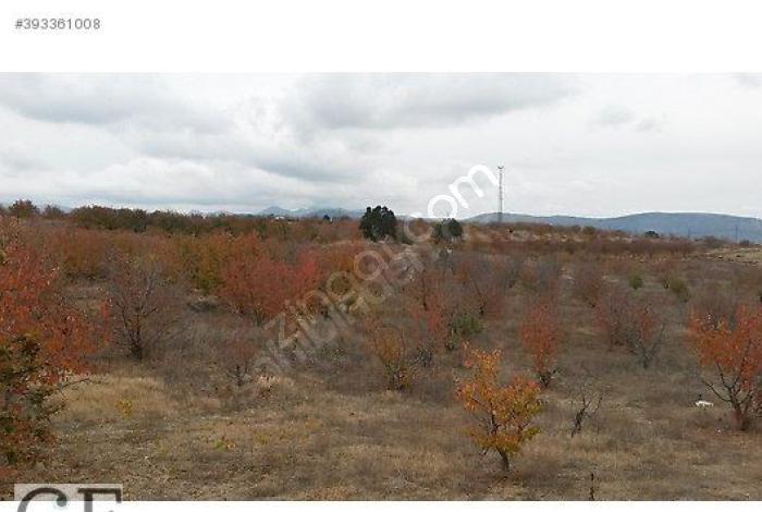 Isparta Yakaören Köyü Resimleri 8