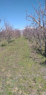 Isparta Küçük Gökçeli Köyü Resimleri 10