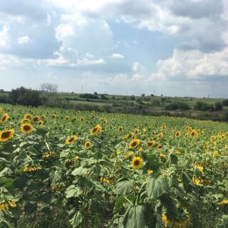 Isparta Küçük Hacılar Köyü Resimleri 6