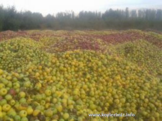 Isparta Küçük Hacılar Köyü Resimleri 8