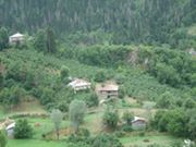 Mesudiye Dursunlu Köyü Resimleri 11