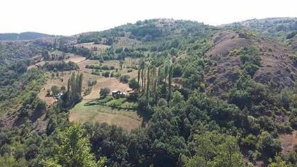 Mesudiye Güzle Köyü Resimleri 2