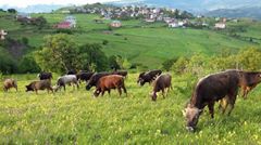Mesudiye Güzle Köyü Resimleri 4