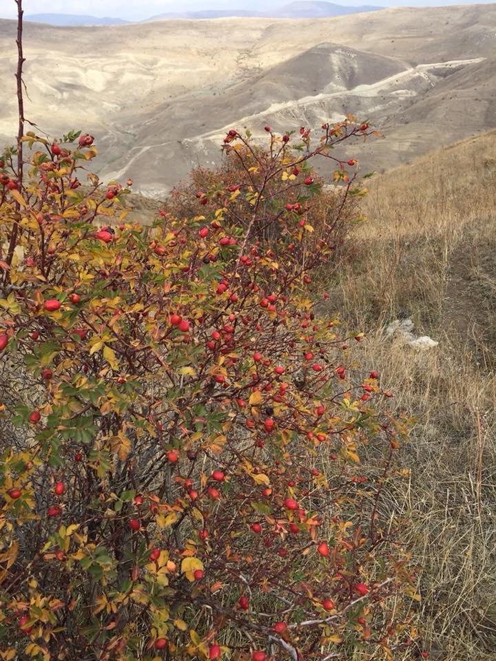 Aşkale Tokça Köyü Resimleri 10