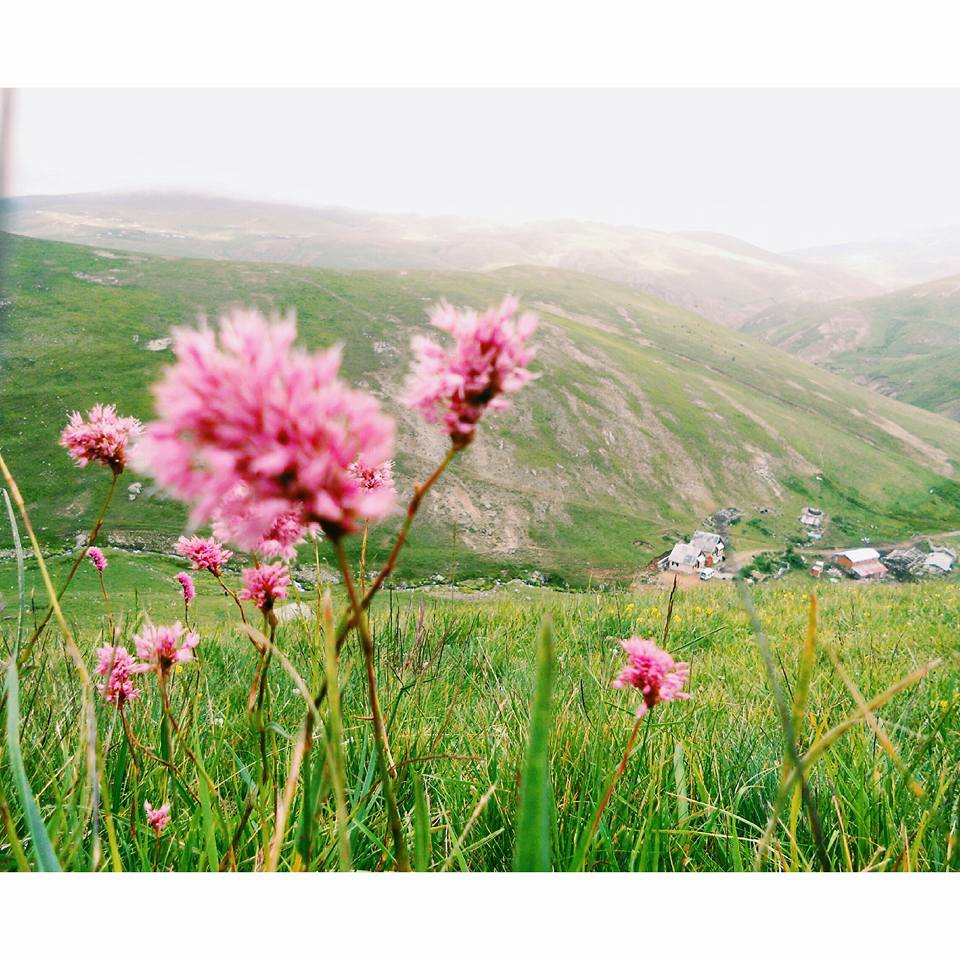 Mesudiye Kale Köyü Resimleri 7