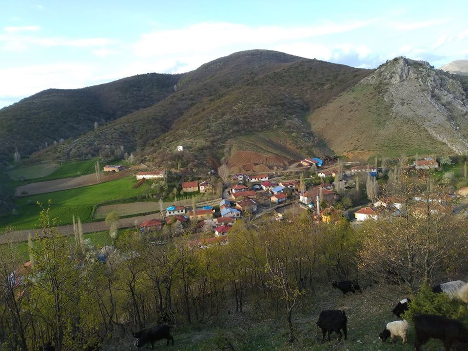 Pazar Ovacık Köyü Resimleri 12