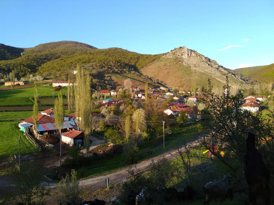 Pazar Ovacık Köyü Resimleri 3