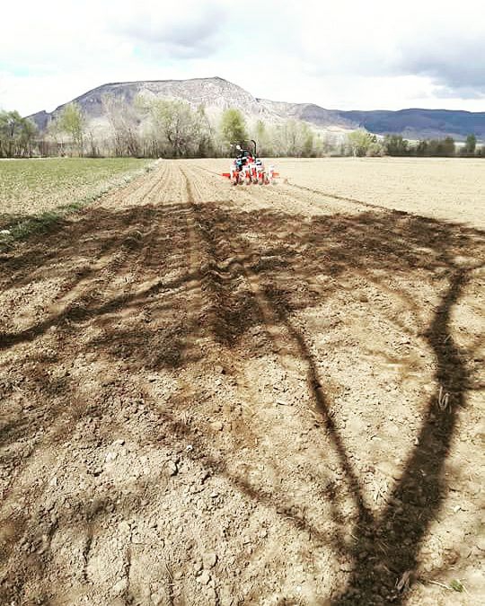 Pazar Ovayurt Köyü Resimleri 1