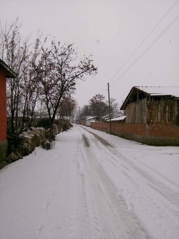 Pazar Ovayurt Köyü Resimleri 2