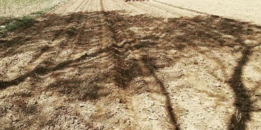 Pazar Ovayurt Köyü Resimleri