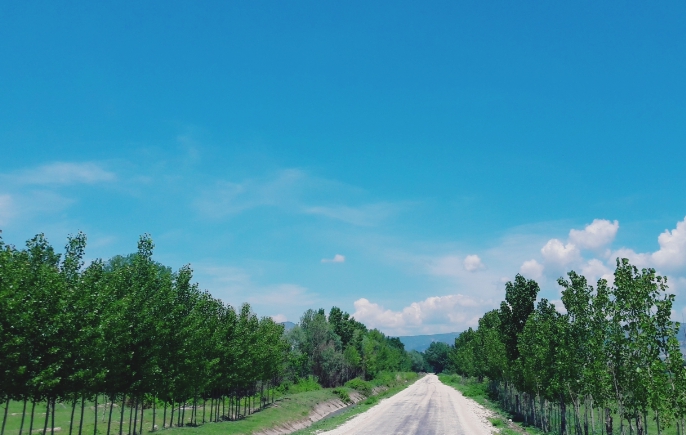 Pazar Tatarköy Resimleri 3