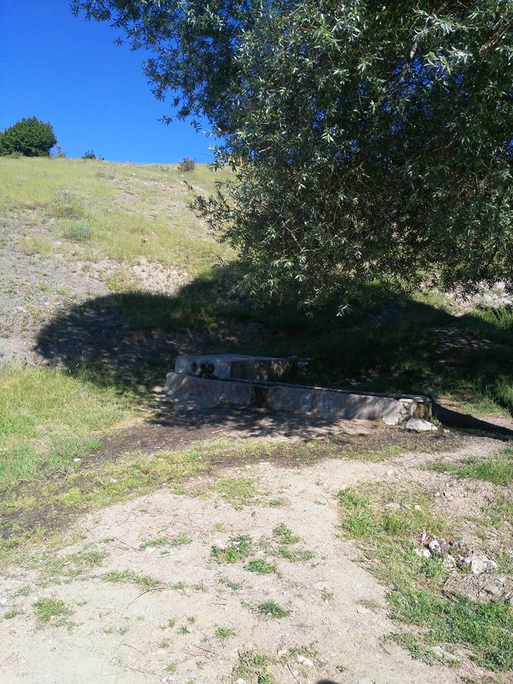 Pazar Tepeçaylı Köyü Resimleri 10