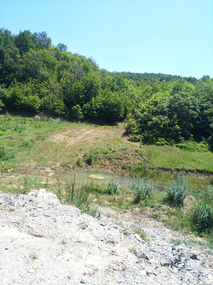 Pazar Tepeçaylı Köyü Resimleri 13