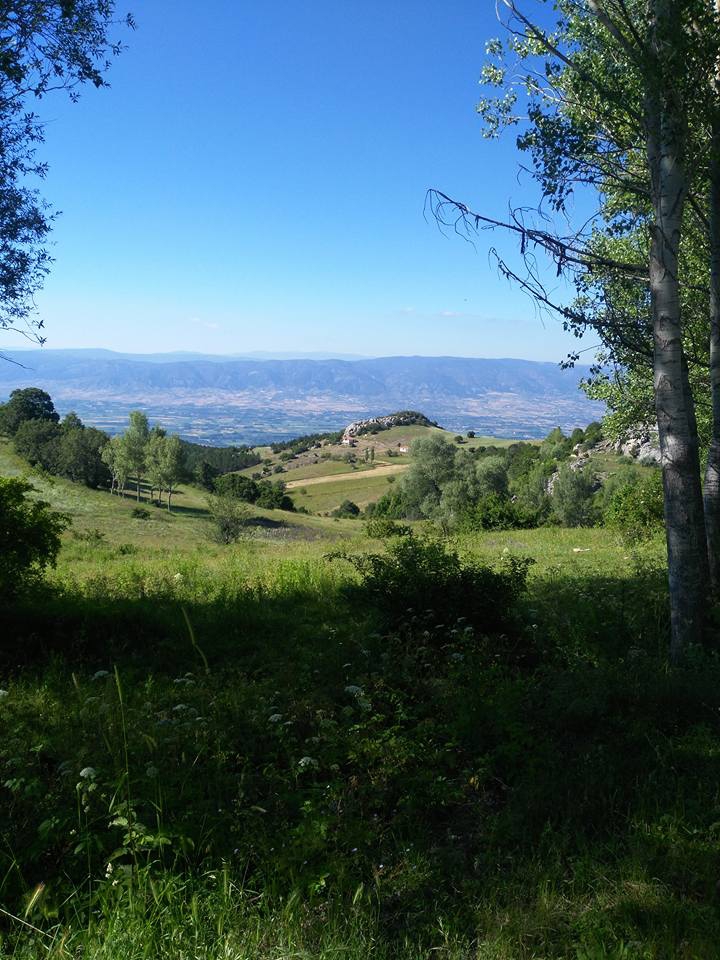 Pazar Tepeçaylı Köyü Resimleri 3
