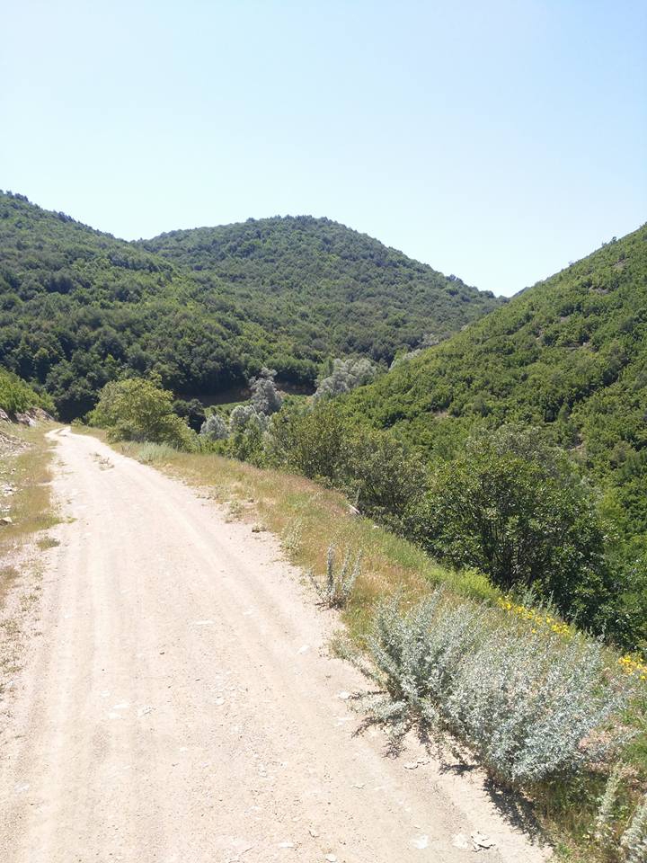 Pazar Tepeçaylı Köyü Resimleri 6
