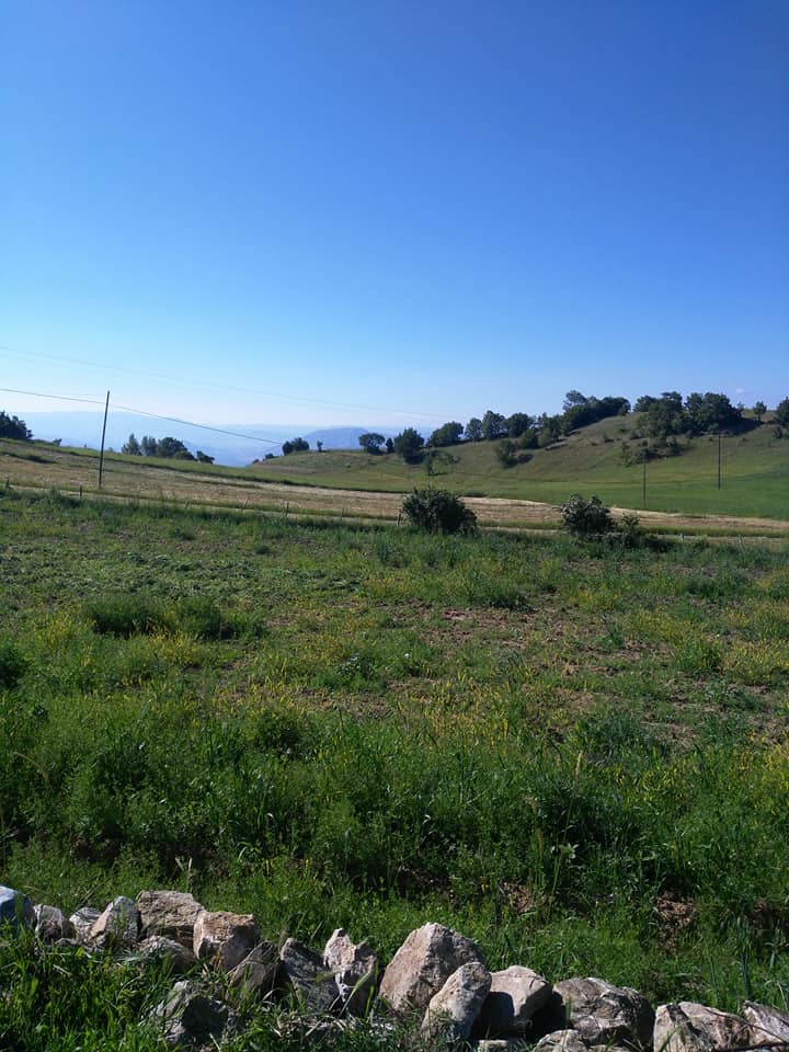 Pazar Tepeçaylı Köyü Resimleri 8