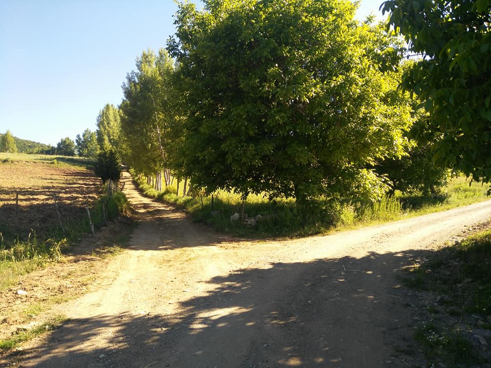 Pazar Tepeçaylı Köyü Resimleri 9