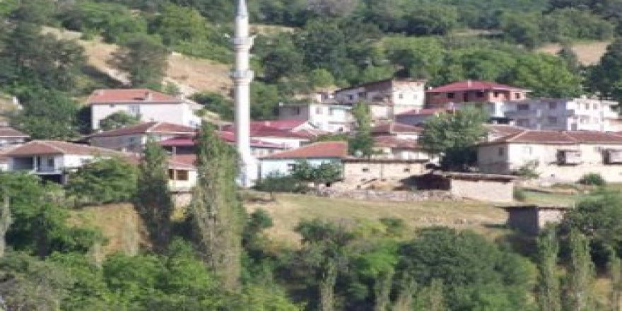 Reşadiye Akdoğmuş Köyü Resimleri