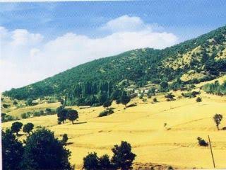 Reşadiye Bayırbaşı Köyü Resimleri 1