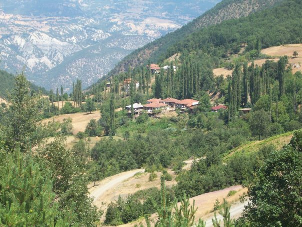 Reşadiye Beşdere Köyü Resimleri 10