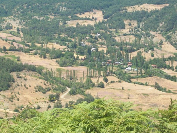 Reşadiye Beşdere Köyü Resimleri 8