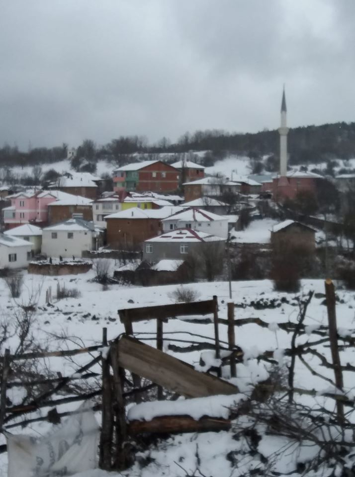 Reşadiye Çakırlı Köyü Resimleri 1