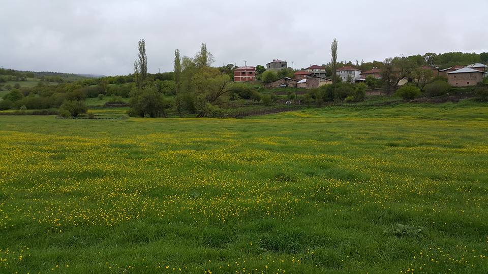 Reşadiye Çakırlı Köyü Resimleri 6