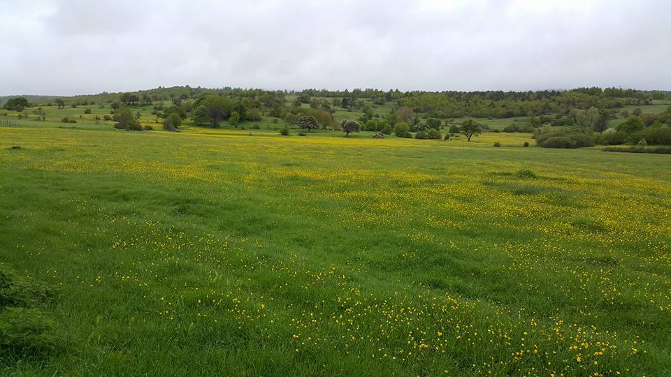 Reşadiye Çakırlı Köyü Resimleri 7